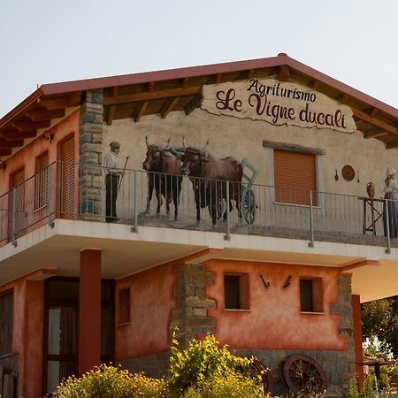 Agriturismo Le Vigne Ducali Màndas Εξωτερικό φωτογραφία