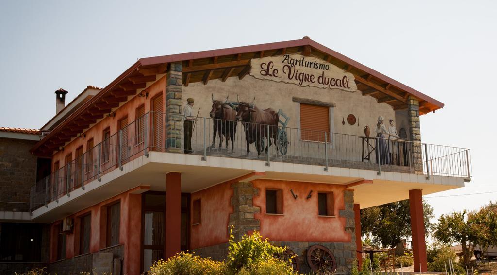 Agriturismo Le Vigne Ducali Màndas Εξωτερικό φωτογραφία